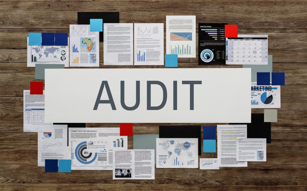 Job Description of Auditor